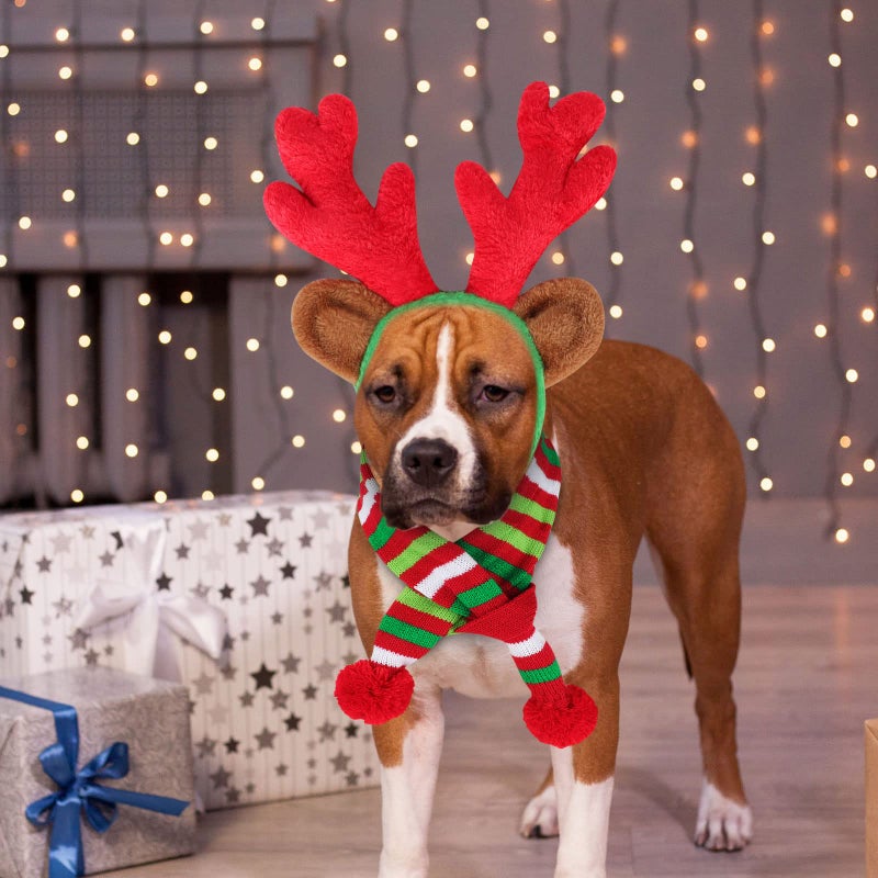 BWOGUE Dog Christmas Reindeer Elk Antlers Headband and Red-White-Green Striped Scarf Set Pet Christmas Costume Dog Costumes Accessories for Dogs and Cats - Image 5
